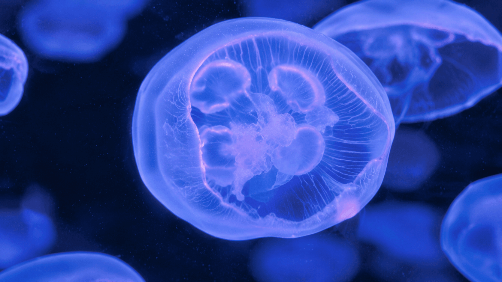 Life sciences and medical technology R&D-01