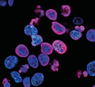Life Sciences Banner-01